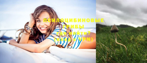 мет Абаза