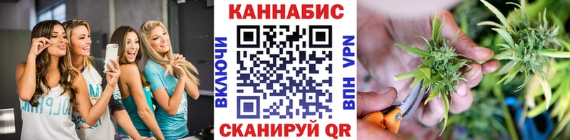 наркота  Калачинск  Бошки Шишки SATIVA & INDICA 